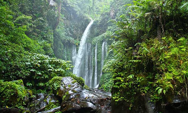 Air Terjun Senaru: Tour 1 Hari